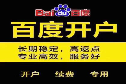 SEM代运营公司案例：优化策略揭秘
